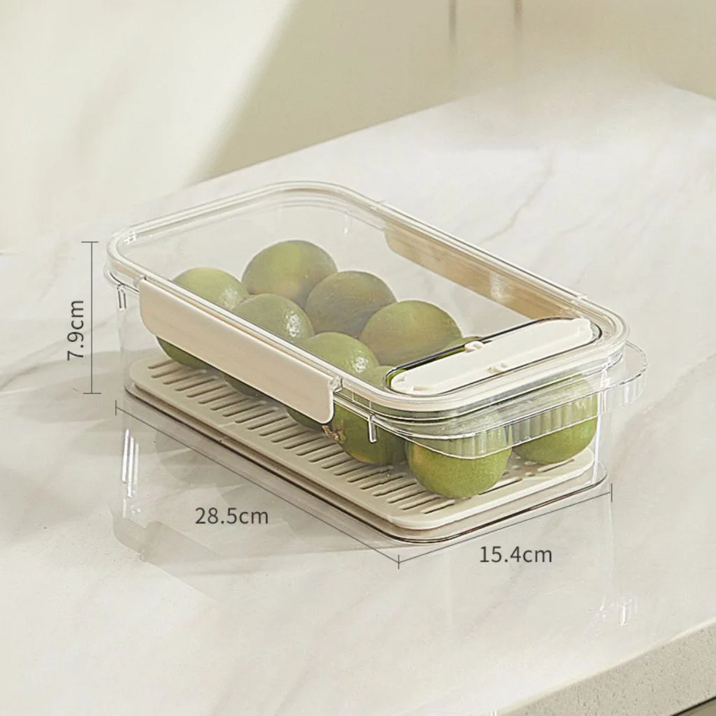 Hộp Đựng Thực Phẩm, Rau Củ Tủ Lạnh Nắp Đậy Kín Khí Ghi Ngày Tháng Bảo Quản  An Toàn Nhựa Dày Dặn | Shopee Việt Nam