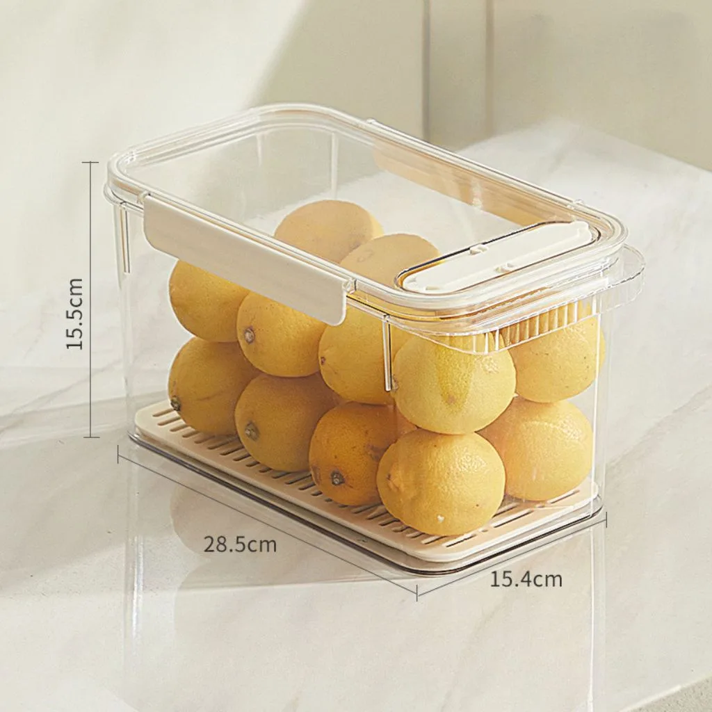 Hộp Đựng Thực Phẩm, Rau Củ Tủ Lạnh Nắp Đậy Kín Khí Ghi Ngày Tháng Bảo Quản  An Toàn Nhựa Dày Dặn | Shopee Việt Nam