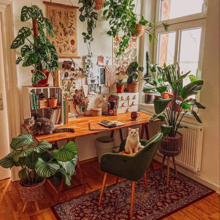 Top xu hướng decor được ưa chuộng nhất hiện nay | Moriitalia