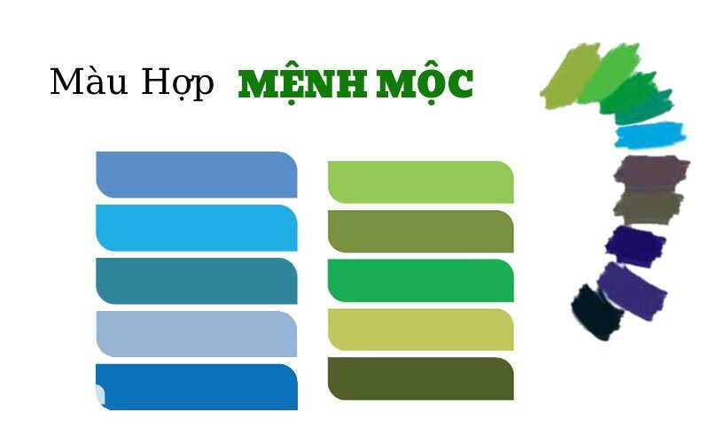 Mệnh Mộc hợp màu gì - Màu nên hạn chế: trắng, xám, ghi, vàng, nâu