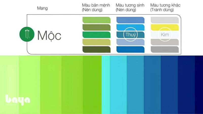 Mệnh Mộc hợp màu gì - Mệnh Mộc hợp màu gì khi áp dụng vào từng phòng