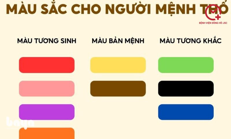 Mệnh Thổ hợp màu gì - Màu nên hạn chế: xanh lá, xanh dương, đen