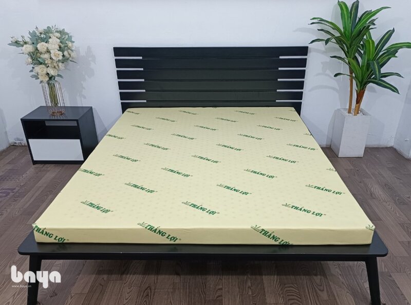 Nệm cao su non - Foam tổng hợp, không phải mủ cây